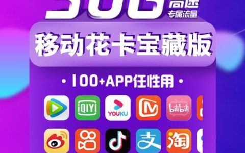 中国移动花卡宝藏版套餐：月租29元，流量不限速